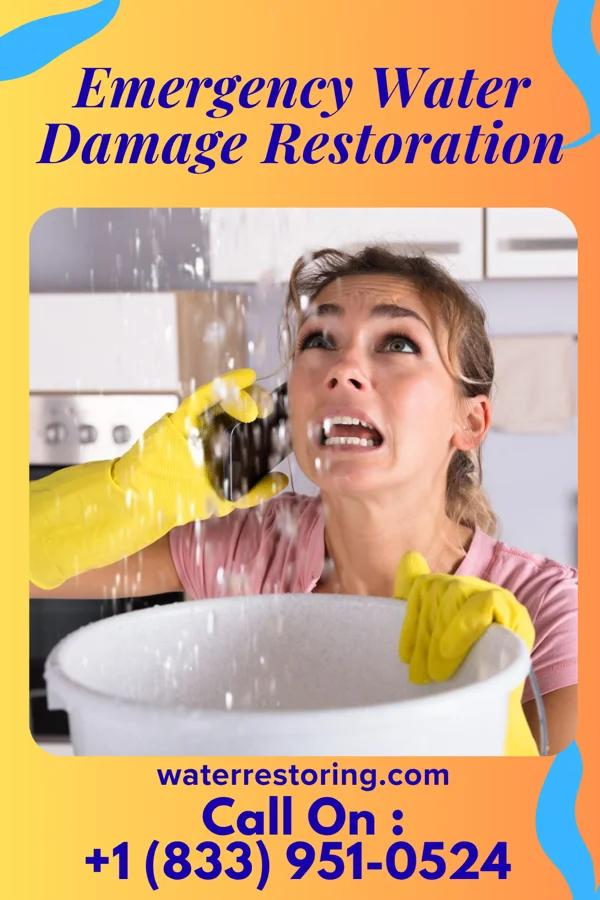 Emergency Water Damage Restoration in Otway, OH