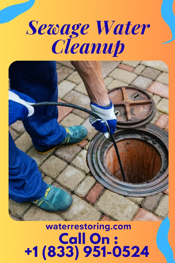 Sewage Water Cleanup in Otway, OH