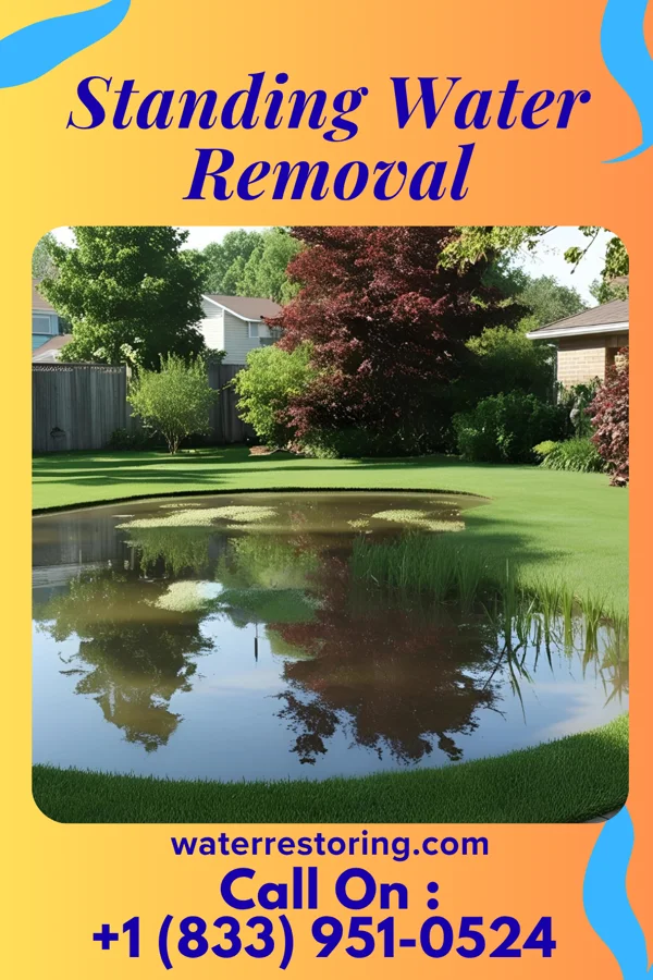 Standing Water Removal in Otway, OH